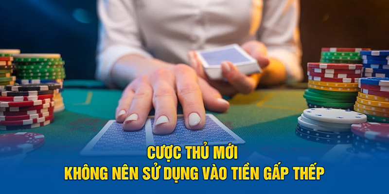 cuoc-thu-moi-khong-nen-su-dung-vao-tien-gap-thep