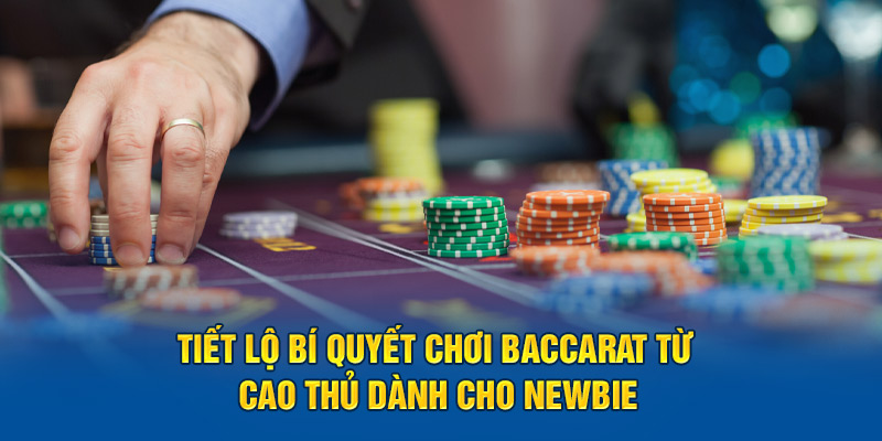 tiet-lo-bi-quyet-choi-baccarat-tu-cao-thu-danh-cho-newbie