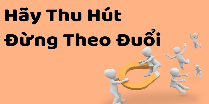 Cách áp dụng triết lý "Hãy cuốn hút, đừng theo đuổi"